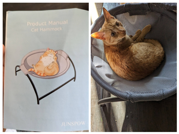 Shes not as chonky but this is pretty close