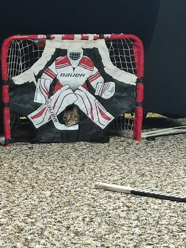 Shes ready for the playoffs tonight
