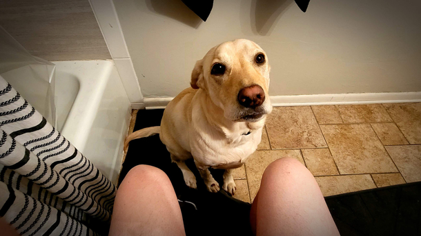 Shes totally not needy or anything