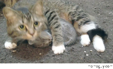 Shh dont wake her
