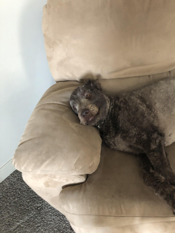 SHIT Im late for work