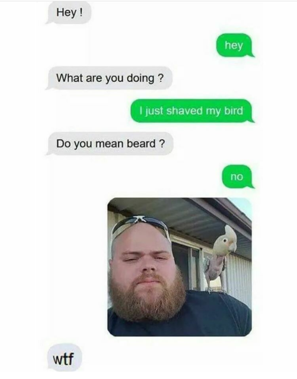 Shit What