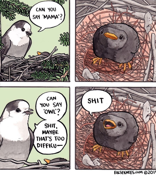 Shit why ____