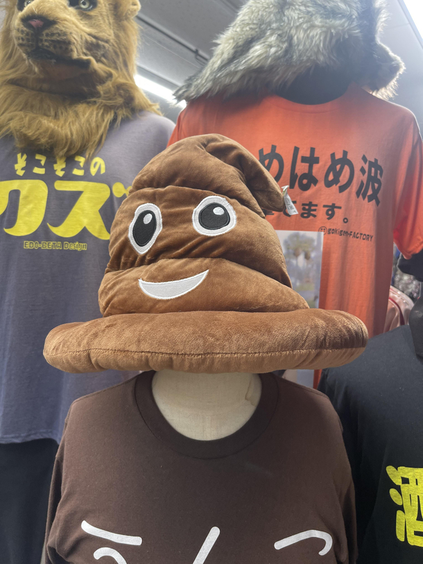 Shitty sorting hat anyone