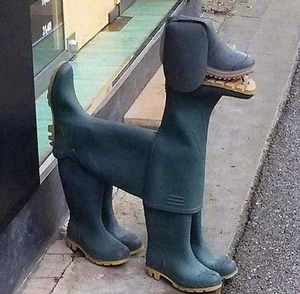 Shoe Dog