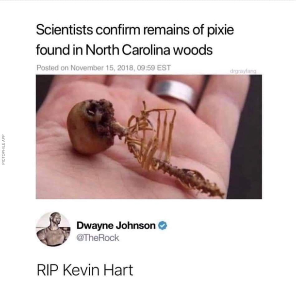 SHORT lived career