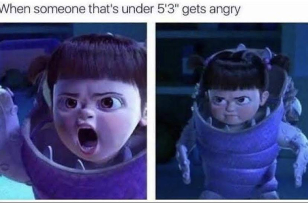 Short people no scary