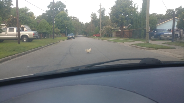 Should I ask him