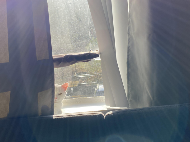 Should I be concerned that my cat appears to be plotting some evil scheme towards me