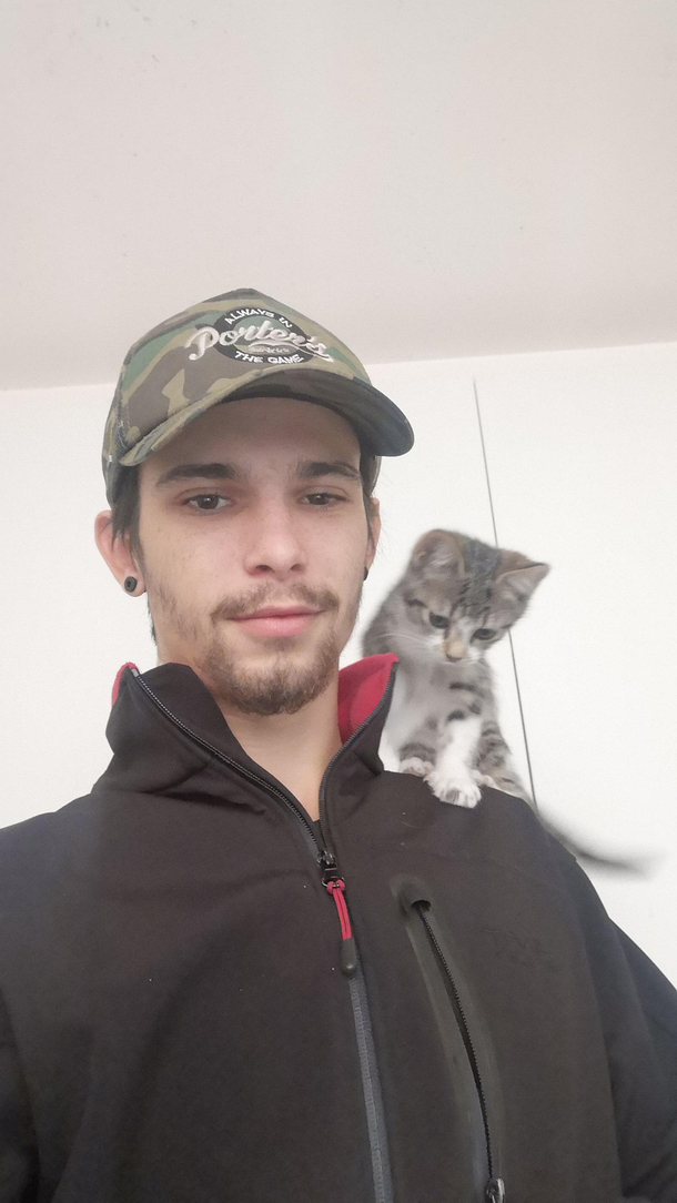 Shoulder cat shoulder cat does whatever a shoulder cat does can she claw up my back Yes she can cause shes a cat