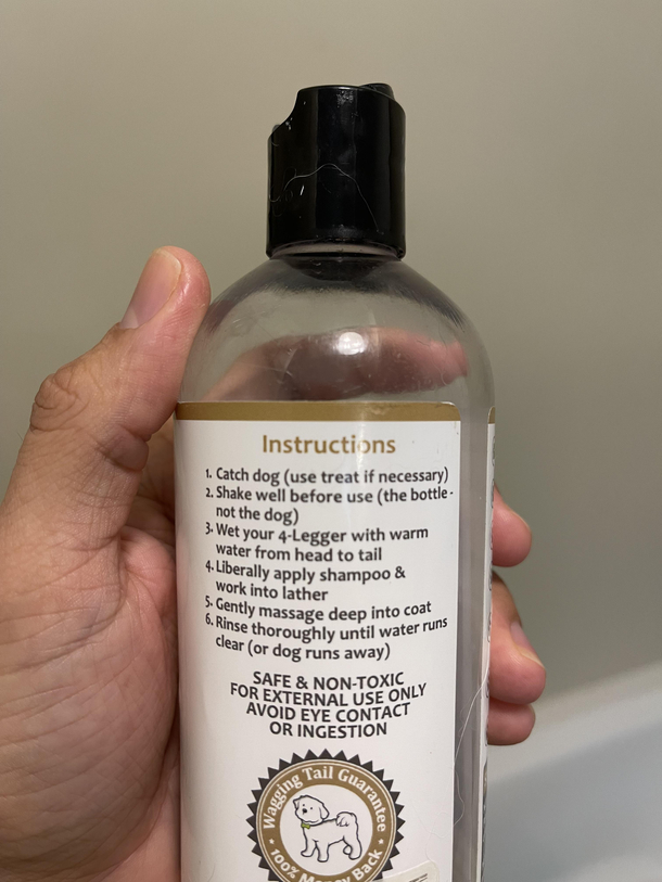 Shouldve read the instructions thoroughly before shaking the dog  Legger dog shampoo