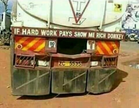 Show me rich donkey