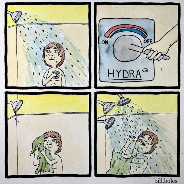 Shower Head