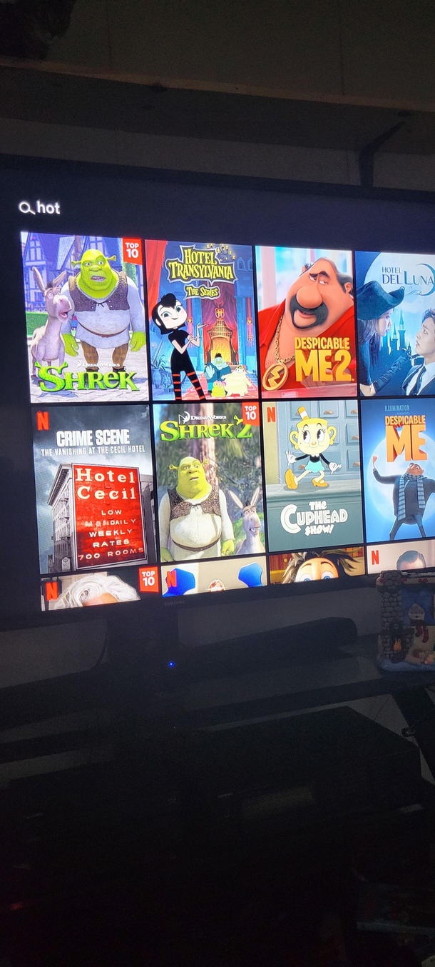 Shrek is the first recommendation under the search query hot on Netflix