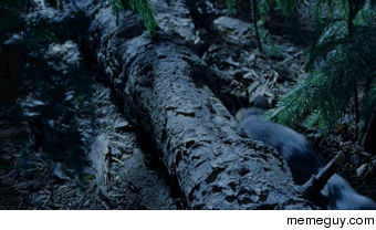 Shrew-shrew-train