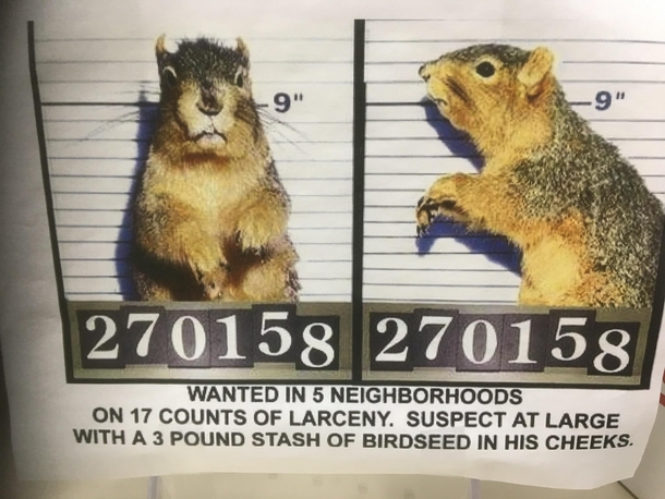 Sign in Agway bird feed section