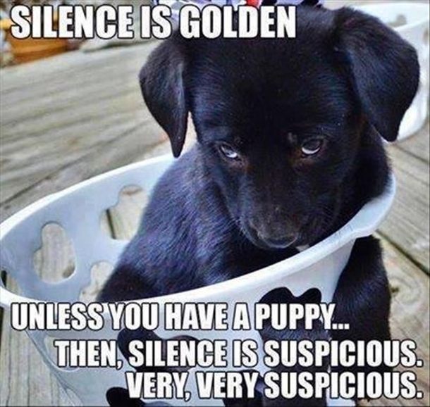 Silence is golden