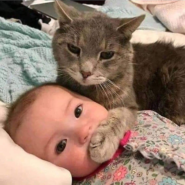 Silence small human Your wails are unsettling