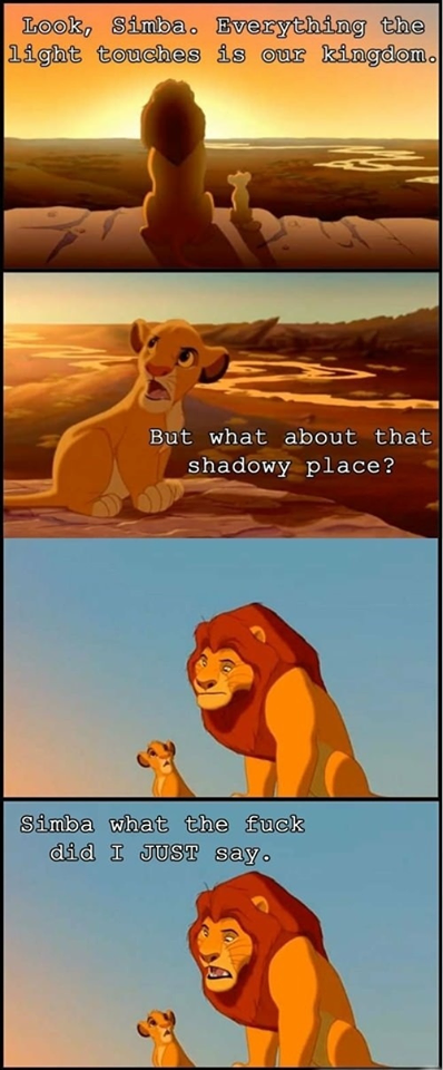 Simba what the fuck did I just say