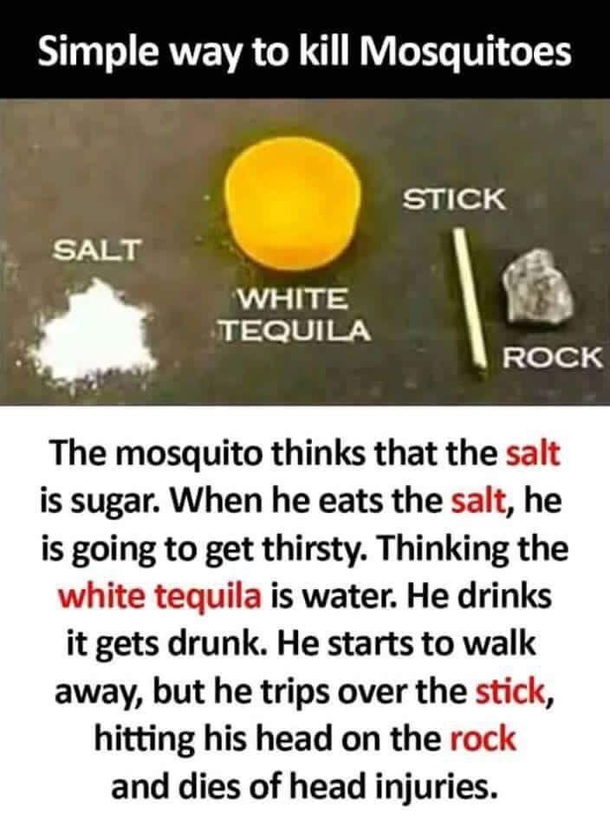 Simplest way to kill mosquitoes