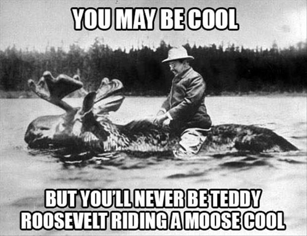 Since Reddit is Teddy Roosevelt themed-today