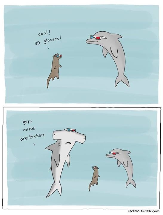 Since sharks are trending