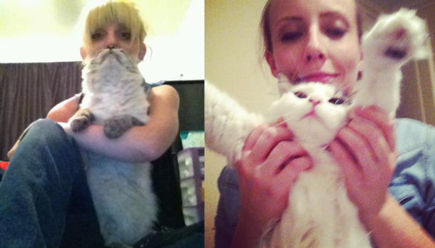 Since we were on the subject of catbeards
