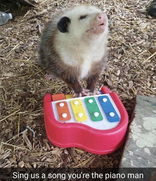 Sing us a song tonight