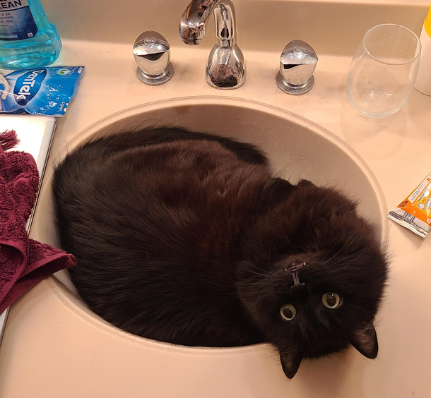 Sink is clogged with hair again
