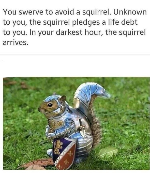 Sir Chestnut