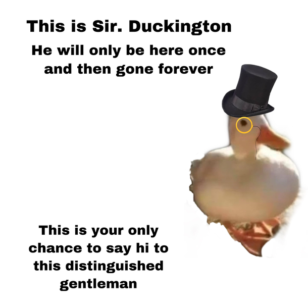 Sir Duckignton wishes you a good day