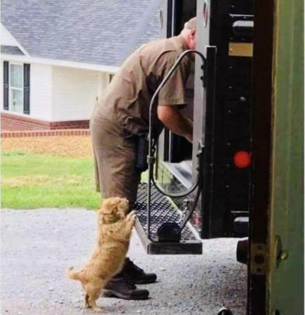 Sir it should be the box that says chewy on it