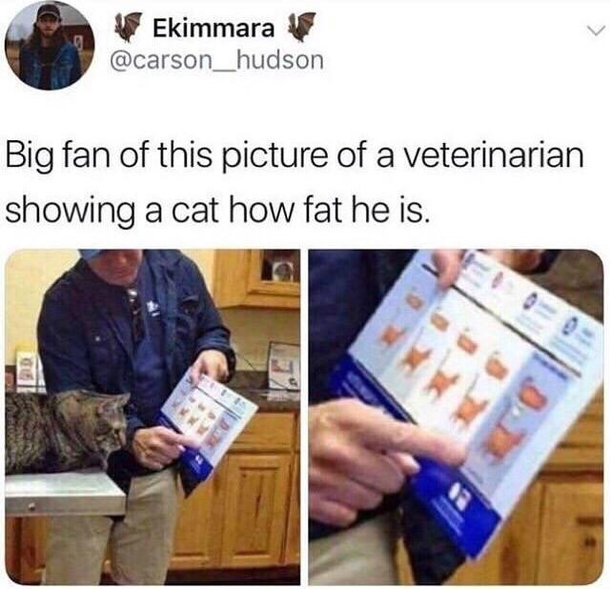 Sir you need to loose some weight