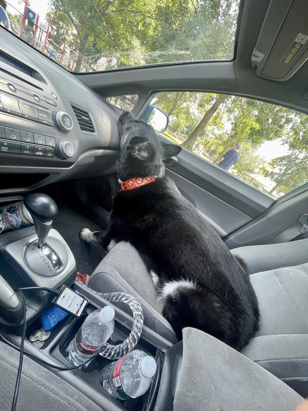 Sitting like a derp