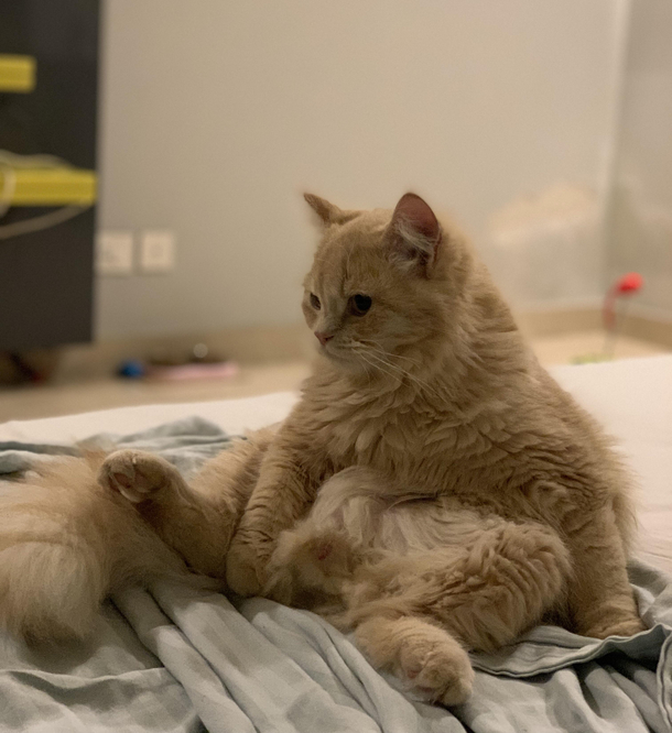 Sitting like a gentleman