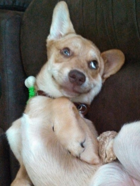 Sitting on the couch look over and see her like this