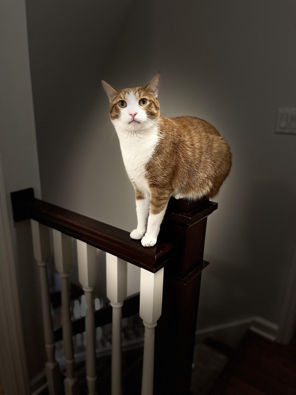 Sitting or standing