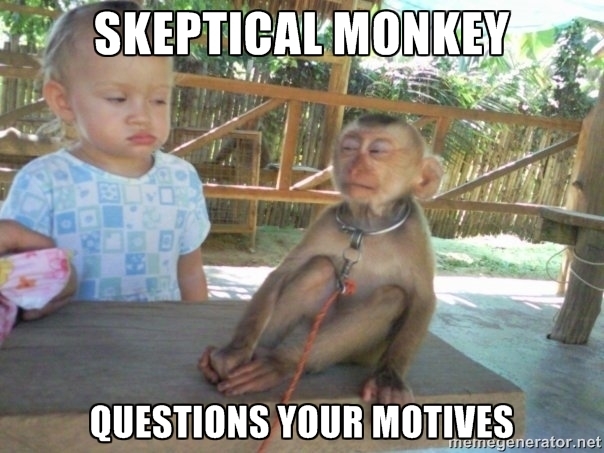 Skeptical Monkey