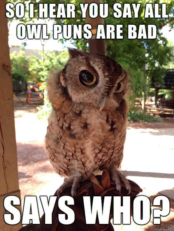 Skeptical Owl questions your position
