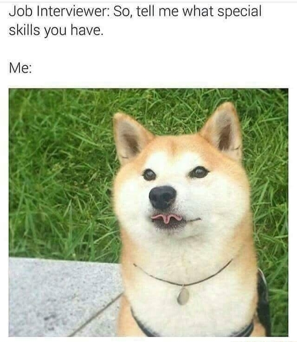 Skilled Pupper