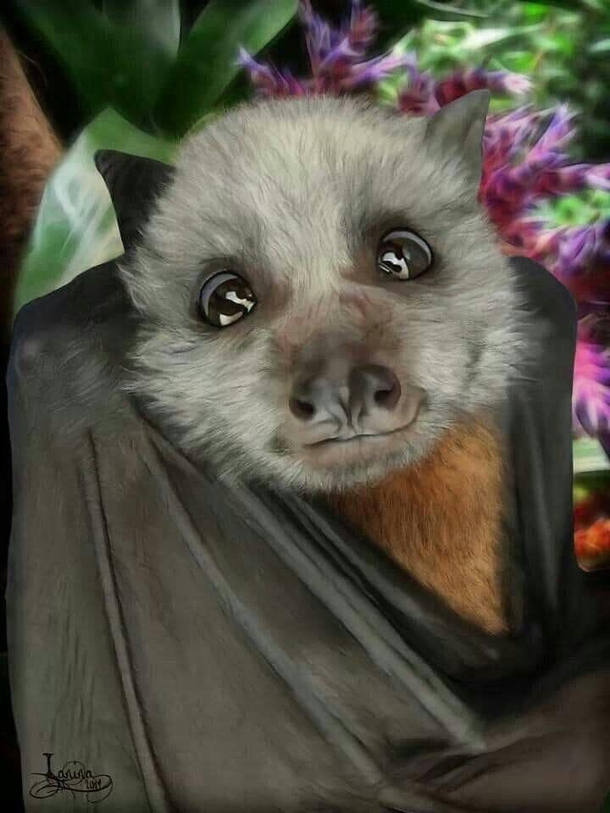 Sky pupper