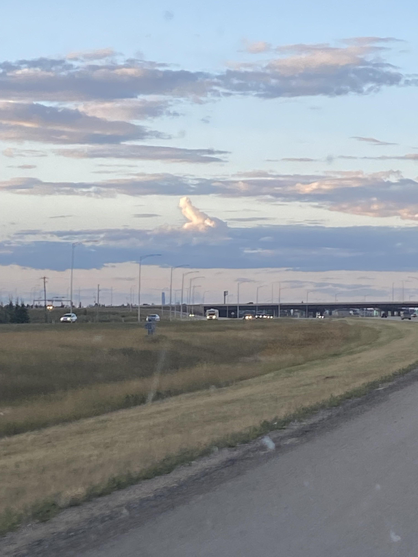 Sky seemed happy to see me tonight