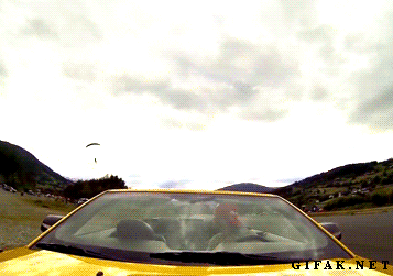 Skydiver lands in moving convertible