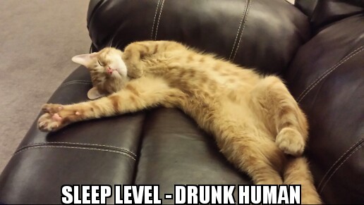 Sleep level