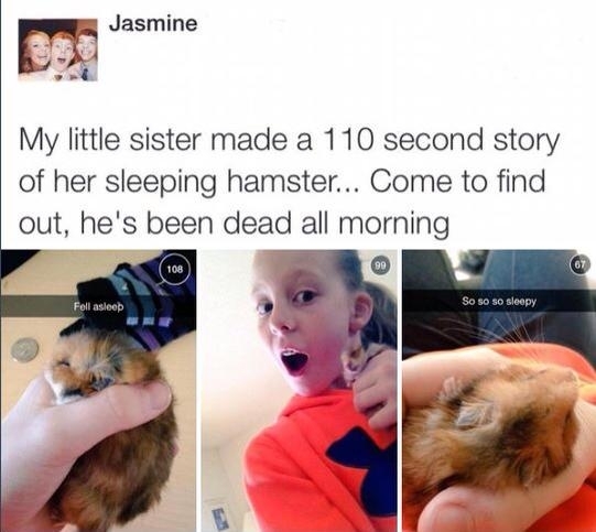 Sleep tight sweet prince