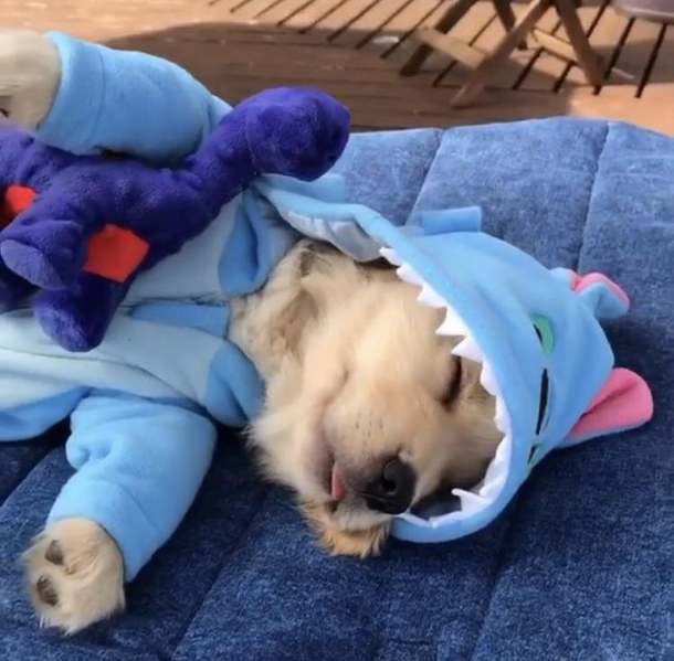 Sleeping Gianni