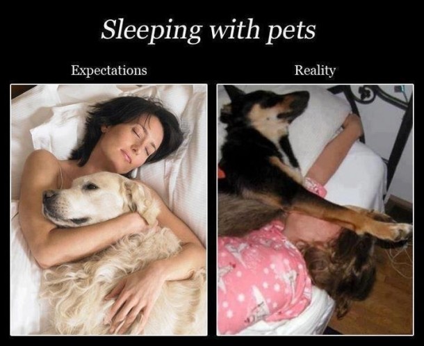 Sleeping with pets 