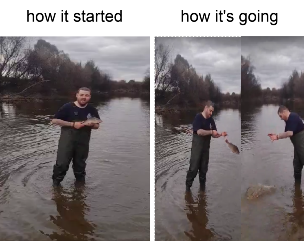 Slippery little fishies 