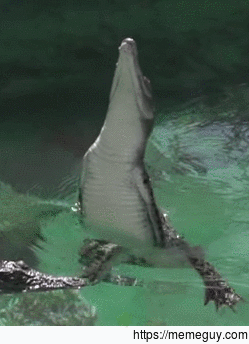 Slithering vertical