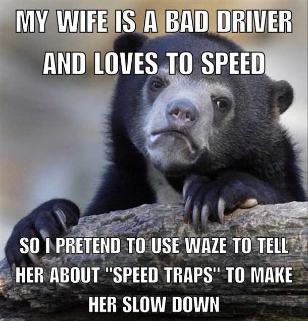 Slow Waze Down